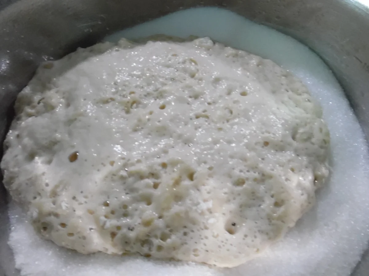 Mohn-Aprikosen-Kranz - Rezept - Bild Nr. 6637