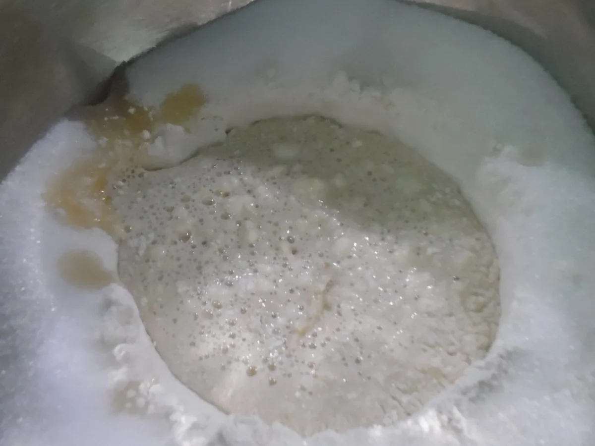 Mohn-Aprikosen-Kranz - Rezept - Bild Nr. 6638