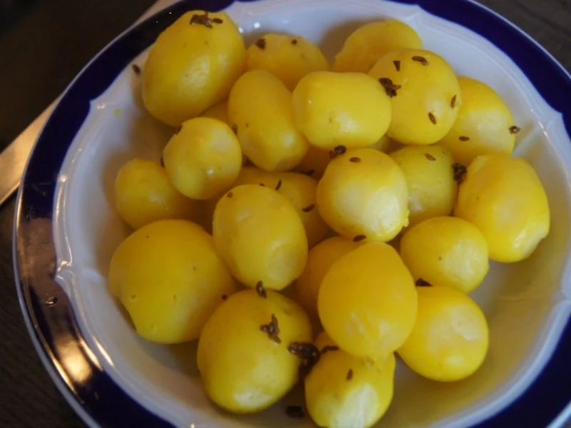 Rezept: Pellkartoffeldrillinge mit Landleberwurst und Gewürzgurke Bild Nr. 5 Pellkartoffeldrillinge mit Landleberwurst und Gewürzgurke - Rezept - Bild Nr. 5