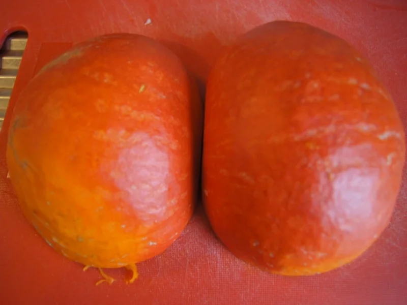 Kürbiscremesuppe mit Kokosmilch und Hähnchenfleischeinlage - Rezept - Bild Nr. 6649