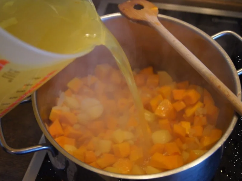 Kürbiscremesuppe mit Kokosmilch und Hähnchenfleischeinlage - Rezept - Bild Nr. 6657