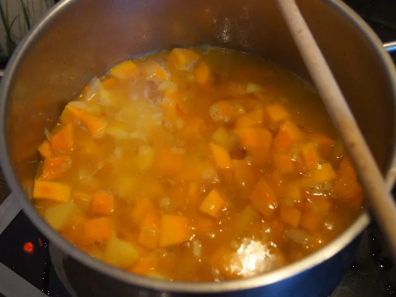 Kürbiscremesuppe mit Kokosmilch und Hähnchenfleischeinlage - Rezept - Bild Nr. 6658