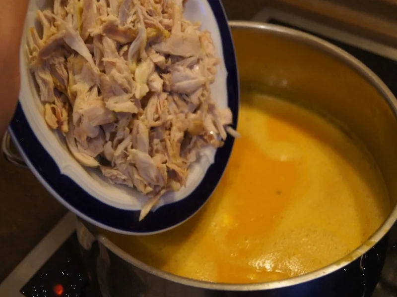 Kürbiscremesuppe mit Kokosmilch und Hähnchenfleischeinlage - Rezept - Bild Nr. 6661