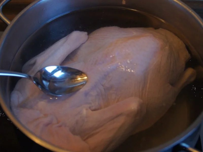 Peking - Ente - Rezept - Bild Nr. 6639