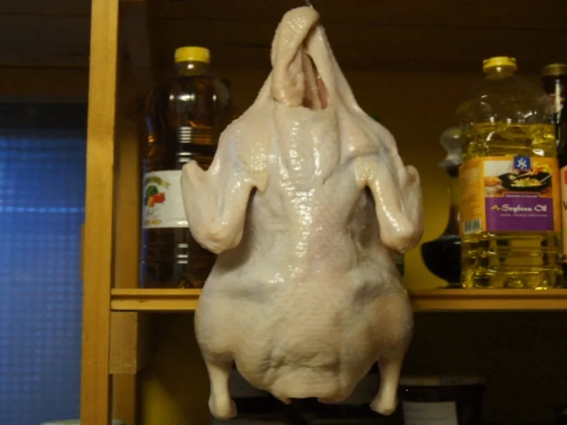 Peking - Ente - Rezept - Bild Nr. 6641