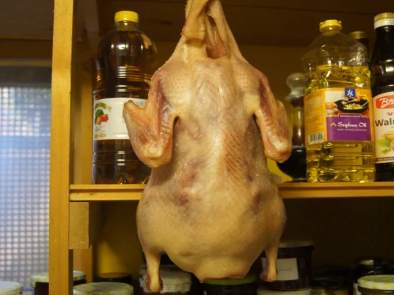 Peking - Ente - Rezept - Bild Nr. 6642