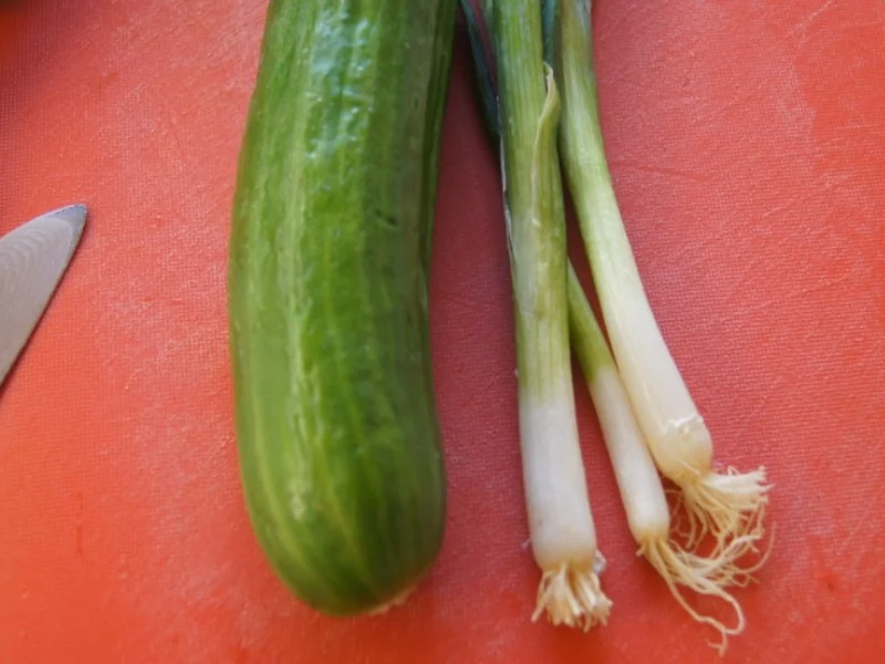 Peking - Ente - Rezept - Bild Nr. 6648