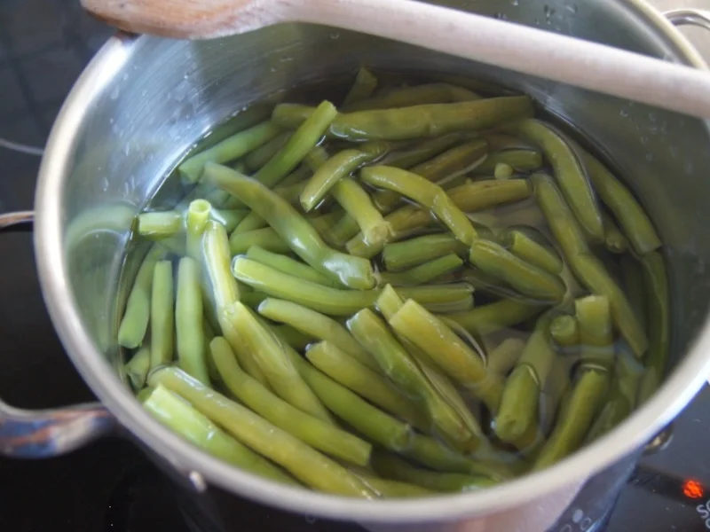 Rezept: Schweinefilet mit Preiselbeersauce, Möhrenpüree und Speckböhnchen Bild Nr. 19 Schweinefilet mit Preiselbeersauce, Möhrenpüree und Speckböhnchen - Rezept - Bild Nr. 19