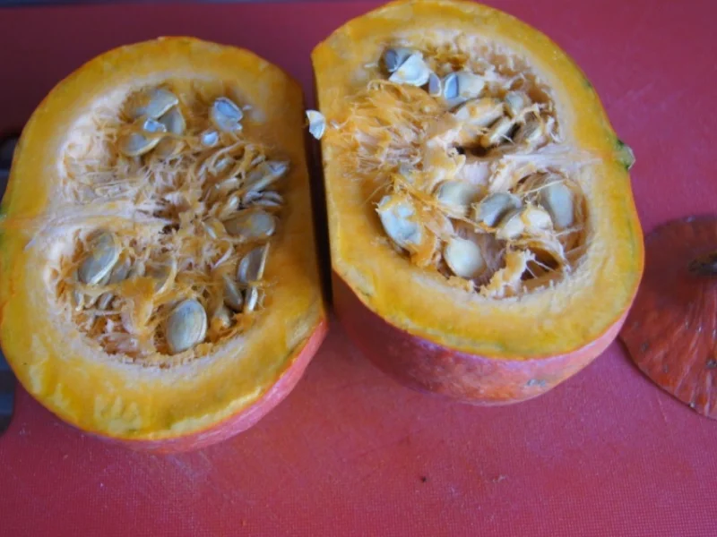 Hähnchenbrustfilet mit Kürbis-Sellerie-Stampf und Champignons - Rezept - Bild Nr. 6686