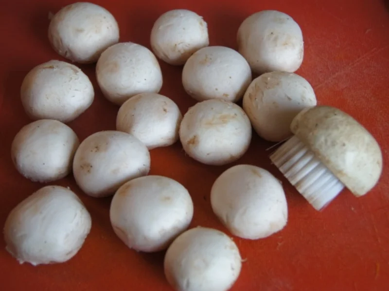 Hähnchenbrustfilet mit Kürbis-Sellerie-Stampf und Champignons - Rezept - Bild Nr. 6698