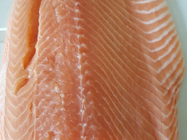 Lachsfilet mit Salat und Pastinakenpürree - Rezept - Bild Nr. 6692