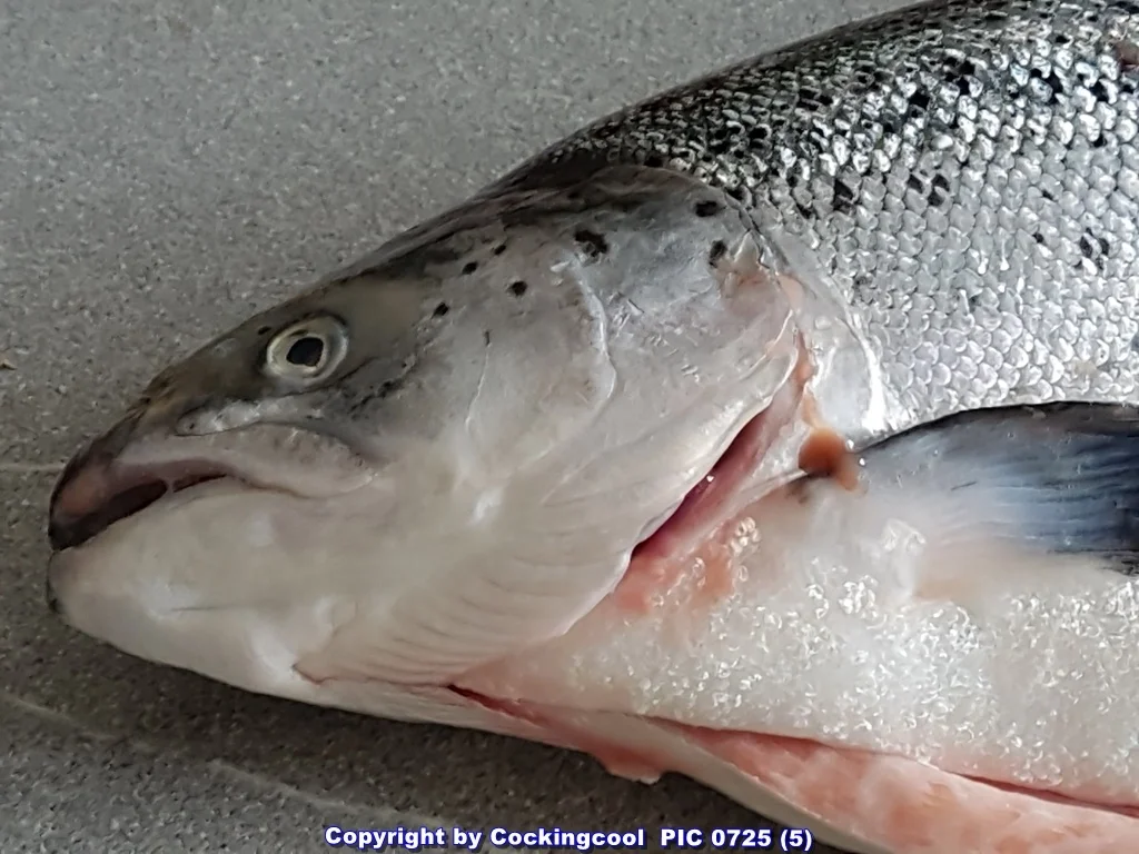 Lachsfilet mit Salat und Pastinakenpürree - Rezept - Bild Nr. 6694
