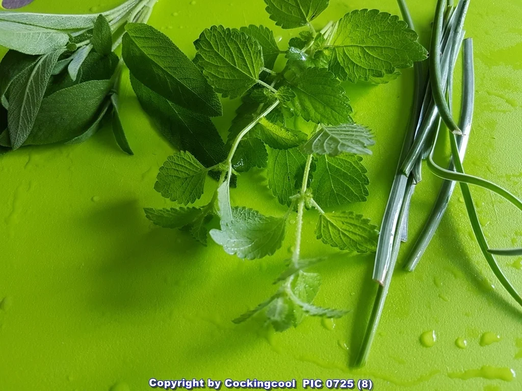 Lachsfilet mit Salat und Pastinakenpürree - Rezept - Bild Nr. 6695