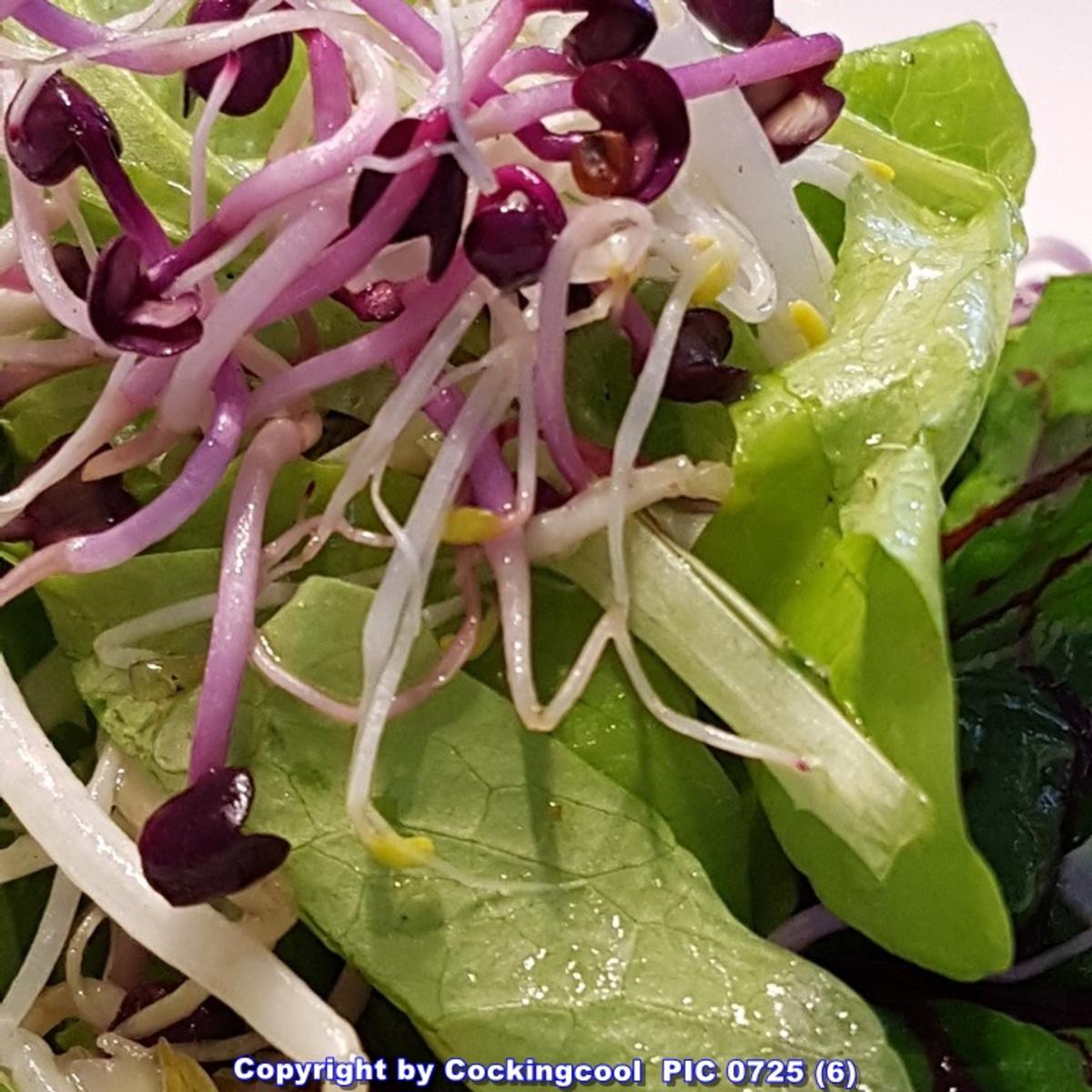 Lachsfilet mit Salat und Pastinakenpürree - Rezept - Bild Nr. 6703