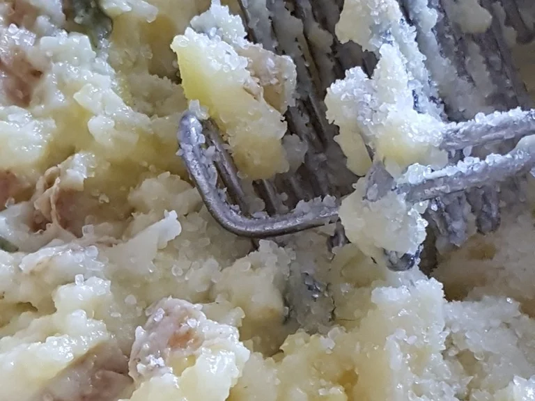 Lachsfilet mit Salat und Pastinakenpürree - Rezept - Bild Nr. 6702