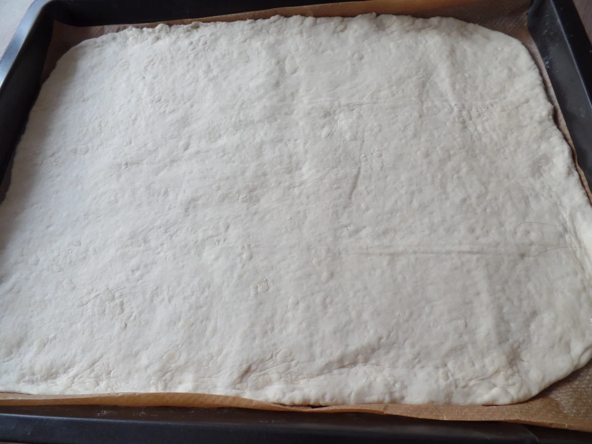 Rezept: Flammkuchen Diavolo Bild Nr. 6711 Flammkuchen Diavolo - Rezept - Bild Nr. 6711