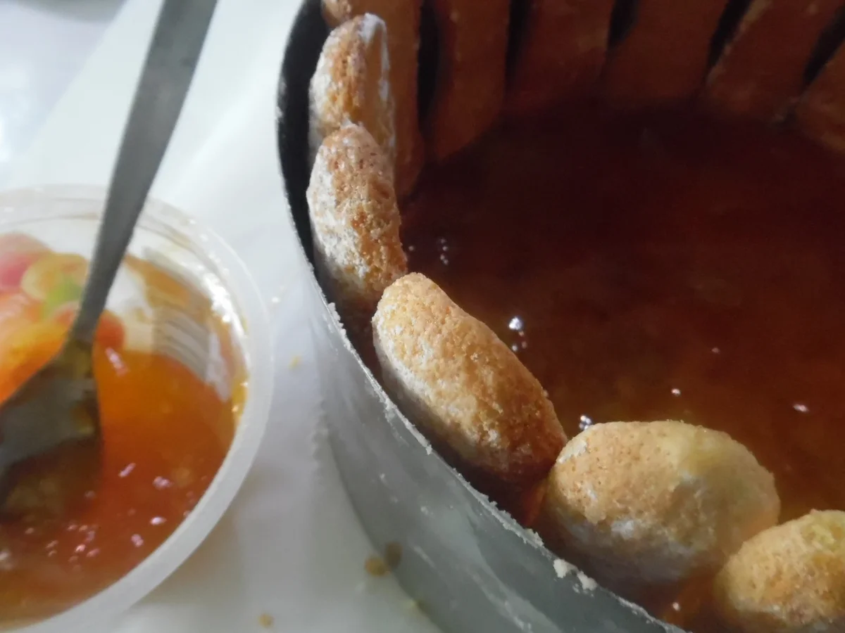 Charlotte mit Biskotten - Rezept - Bild Nr. 6722