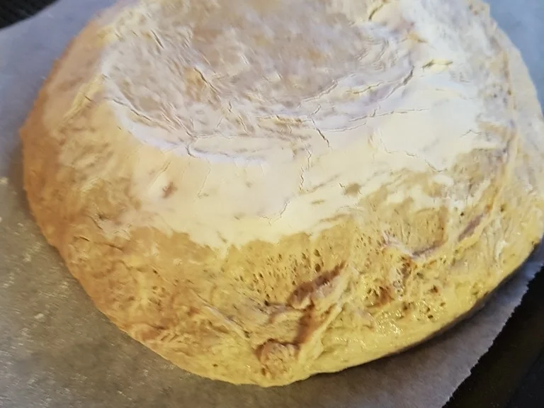 Oma Löffel`s Brote = Vitalbrot à la Biggi - Rezept - Bild Nr. 6737