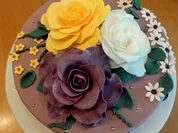 Biskuit:   STRACCIATELLA + SCHOKOGANACHE - Rezept - Bild Nr. 6732