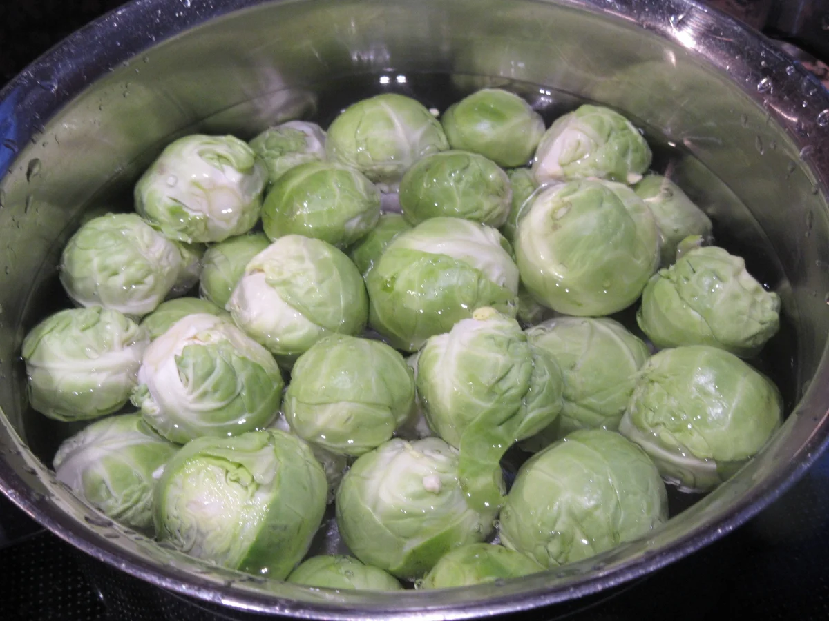 Auflauf: Schupfnudelauflauf mit Rosenkohl und Honig-Senf-Bechamel-Soße - Rezept - Bild Nr. 6745