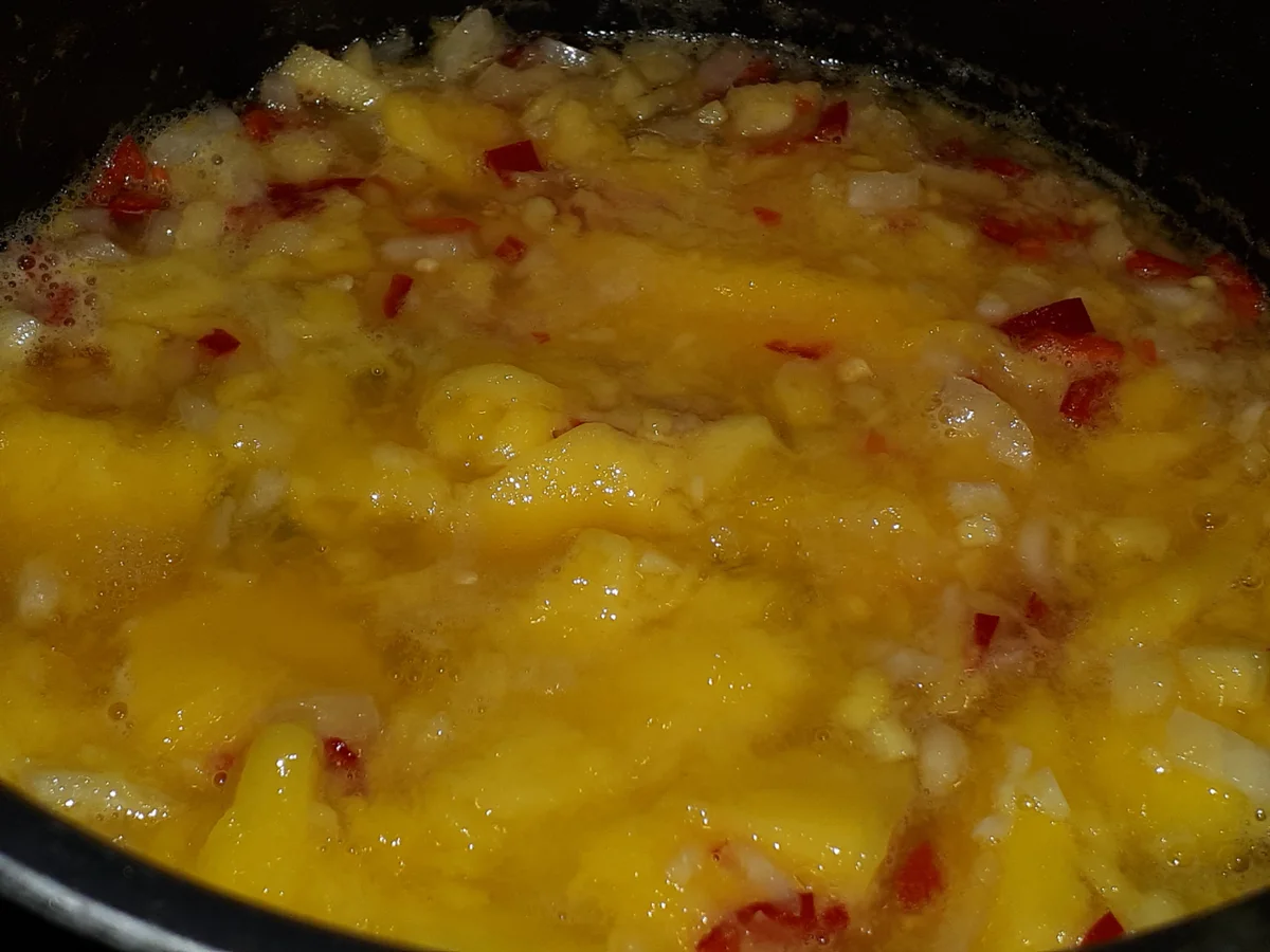 BiNe` S MANGO - CHUTNEY - Rezept - Bild Nr. 3