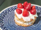 Rezept: Quarktorte mit Erdbeeren, Sahne und Agar Agar Bild Nr. 6760 Quarktorte mit Erdbeeren, Sahne und Agar Agar - Rezept - Bild Nr. 6760