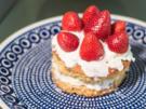 Quarktorte mit Erdbeeren, Sahne und Agar Agar - Rezept - Bild Nr. 6760