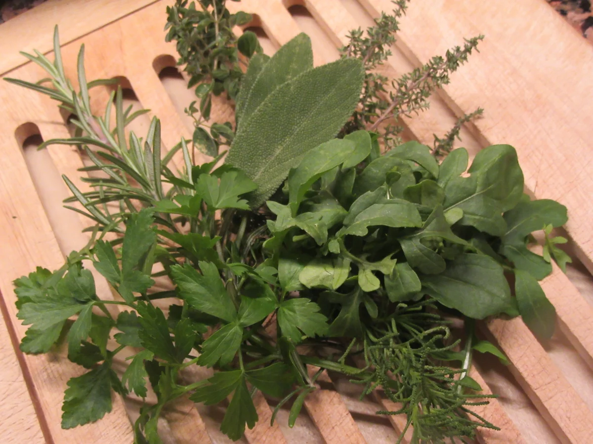 Kräuter-Crostini - Rezept - Bild Nr. 3