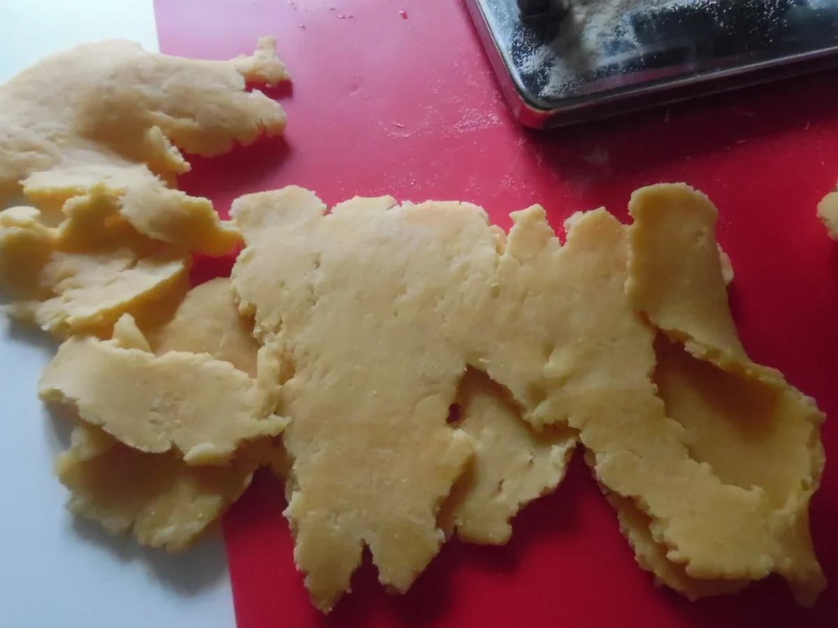 Mezze Maniche - Rezept - Bild Nr. 6775