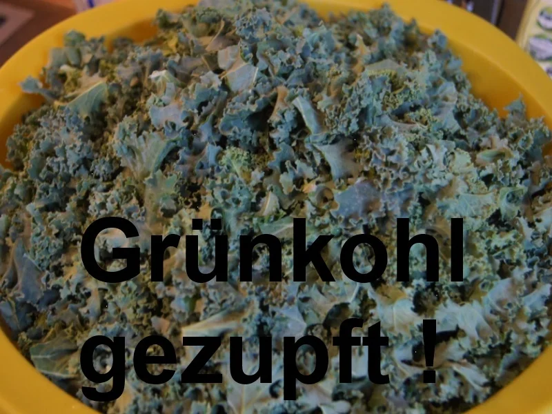 Rezept: Grünkohl – Brauner Kohl Bild Nr. 6779 Grünkohl – Brauner Kohl - Rezept - Bild Nr. 6779
