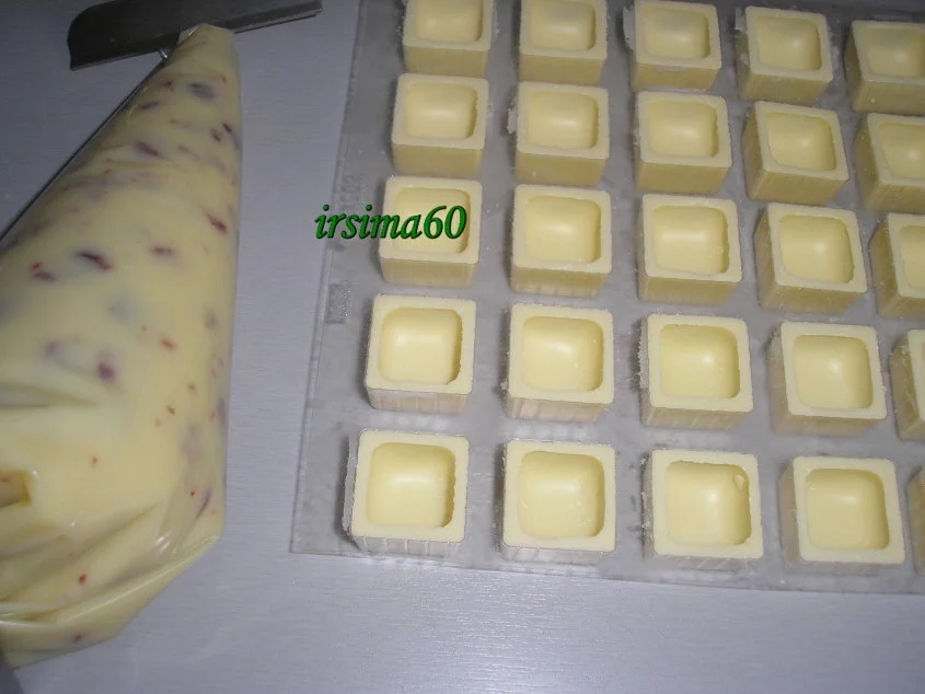 Joghurt - Cranberry - Pralinen - Rezept - Bild Nr. 6816