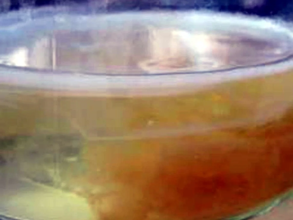 Bananen Gewürzessig - Rezept - Bild Nr. 6814