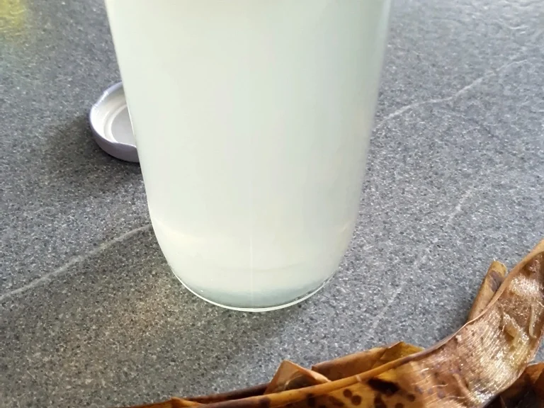 Bananen Gewürzessig - Rezept - Bild Nr. 6815