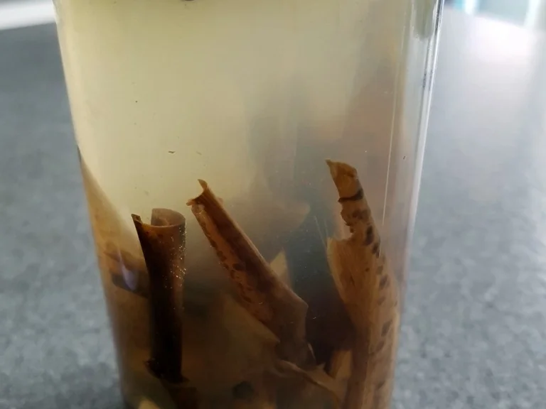 Bananen Gewürzessig - Rezept - Bild Nr. 6818