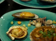 „Ein Tag am Meer“: Mediterranes Pulpo-Ragout - gebratene Meeresfrüchte - Rezept - Bild Nr. 2