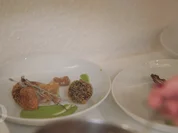 Boudin-Noir-Praline, Apfel-Zwiebel-Chutney, gebackener roter Chicorée und Erbsen-Crème - Rezept - Bild Nr. 6861