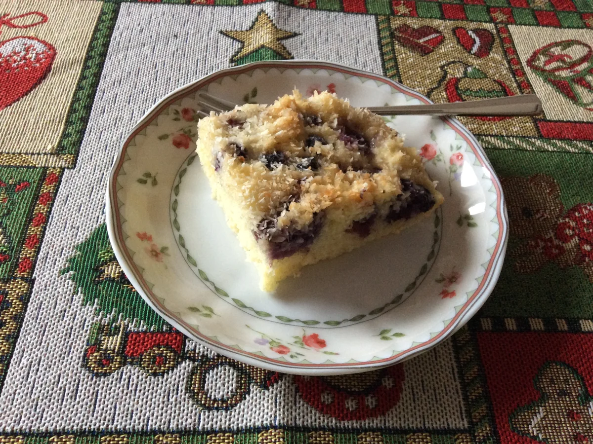 Heidelbeer-Kokos-Schnitten - Rezept - Bild Nr. 6893