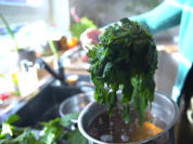 kabeljau, kürbis, brennnessel, kartoffel - Rezept - Bild Nr. 2