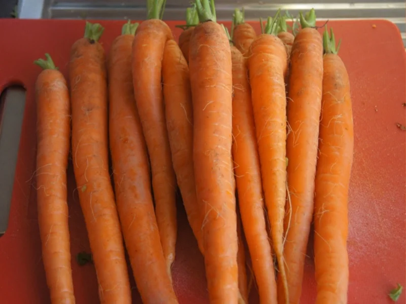 Tafelspitz mit Meerrettichsauce, Honigkarotten und Kartoffelpilzen - Rezept - Bild Nr. 6910