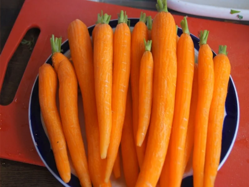 Tafelspitz mit Meerrettichsauce, Honigkarotten und Kartoffelpilzen - Rezept - Bild Nr. 6911