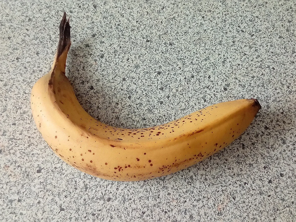 Mützchen - Muffins - Rezept - Bild Nr. 6908