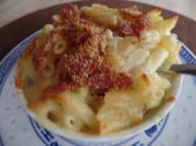 Nudel-Käse-Auflauf - Rezept - Bild Nr. 6934