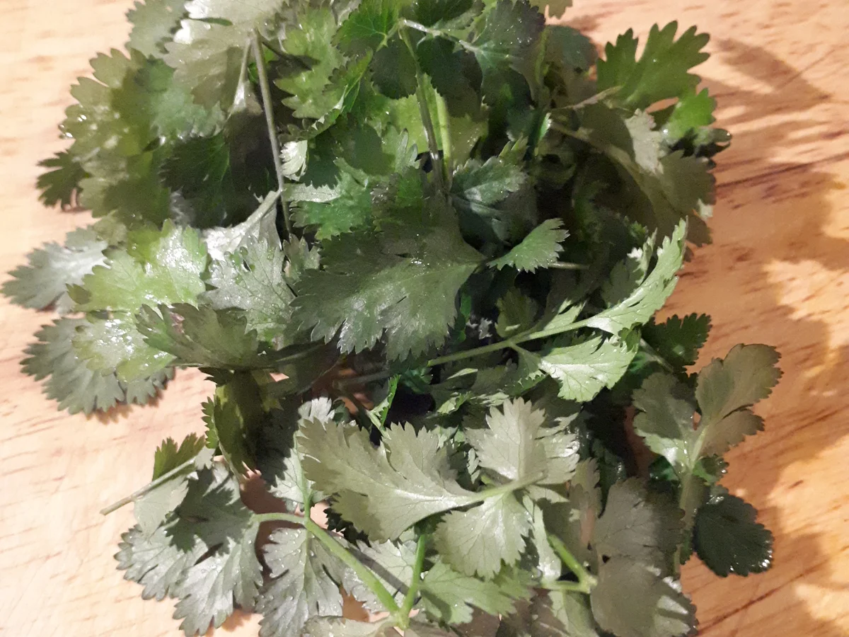 Kartoffel-Rosenkohl- Curry  - Rezept - Bild Nr. 6935