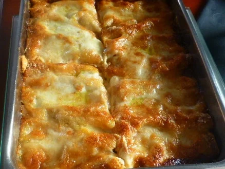 Rezept: Kürbis - Cannelloni Bild Nr. 6954 Kürbis - Cannelloni - Rezept - Bild Nr. 6954