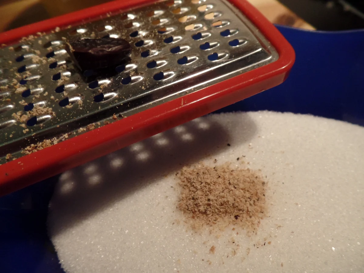 Tonka-Panna-Cotta - Rezept - Bild Nr. 6952