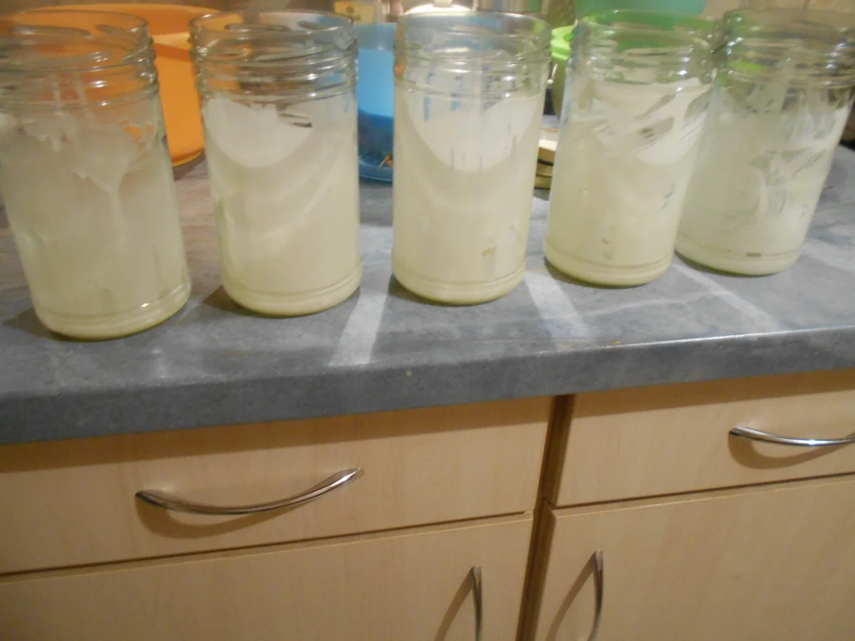 Rezept: Apfel Keks Kuchen Bild Nr. 6959 Apfel Keks Kuchen - Rezept - Bild Nr. 6959