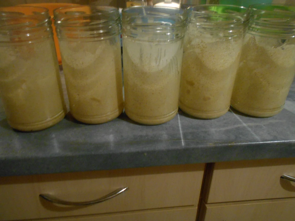 Rezept: Apfel Keks Kuchen Bild Nr. 6960 Apfel Keks Kuchen - Rezept - Bild Nr. 6960