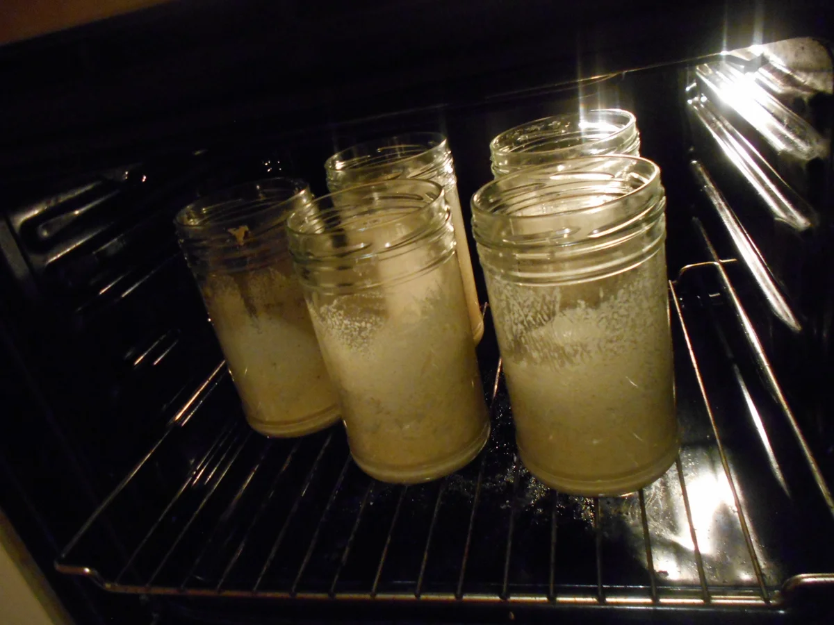 Rezept: Apfel Keks Kuchen Bild Nr. 6974 Apfel Keks Kuchen - Rezept - Bild Nr. 6974