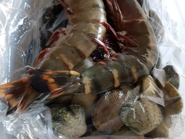 Paella de marisco (mit Meeresfrüchten) - Rezept - Bild Nr. 6969