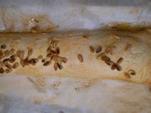 Veganer Kürbis-Strudel - Rezept - Bild Nr. 6985